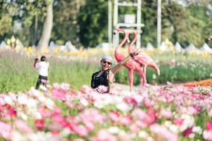 BIB: 
                            <button type="button" onclick="openModal(27344289)" class="btn btn-primary btn-sm float-right btn-popup" data-toggle="modal" data-target=".modal-high-quality">
                        <i class="fas fa-shopping-cart"></i> Add to Cart
                    </button>
                                            <button type="button" onclick="isThisMe(27344289, true)" class="btn btn-success btn-sm float-right btn-popup btn-isme hidden" data-toggle="tooltip" data-placement="bottom" title="นี่คือรูปของคุณใช่ไหม คลิกที่นี่เพื่อเอาเข้าอัลบั้ม">
                        <i class="fas fa-plus"></i> Add to album
                    </button>
                    <button type="button" onclick="isThisMe(27344289, false)" class="btn btn-warning btn-sm float-right btn-popup btn-isnotme hidden">
                        <i class="fas fa-ban"></i> Remove from album
                    </button>